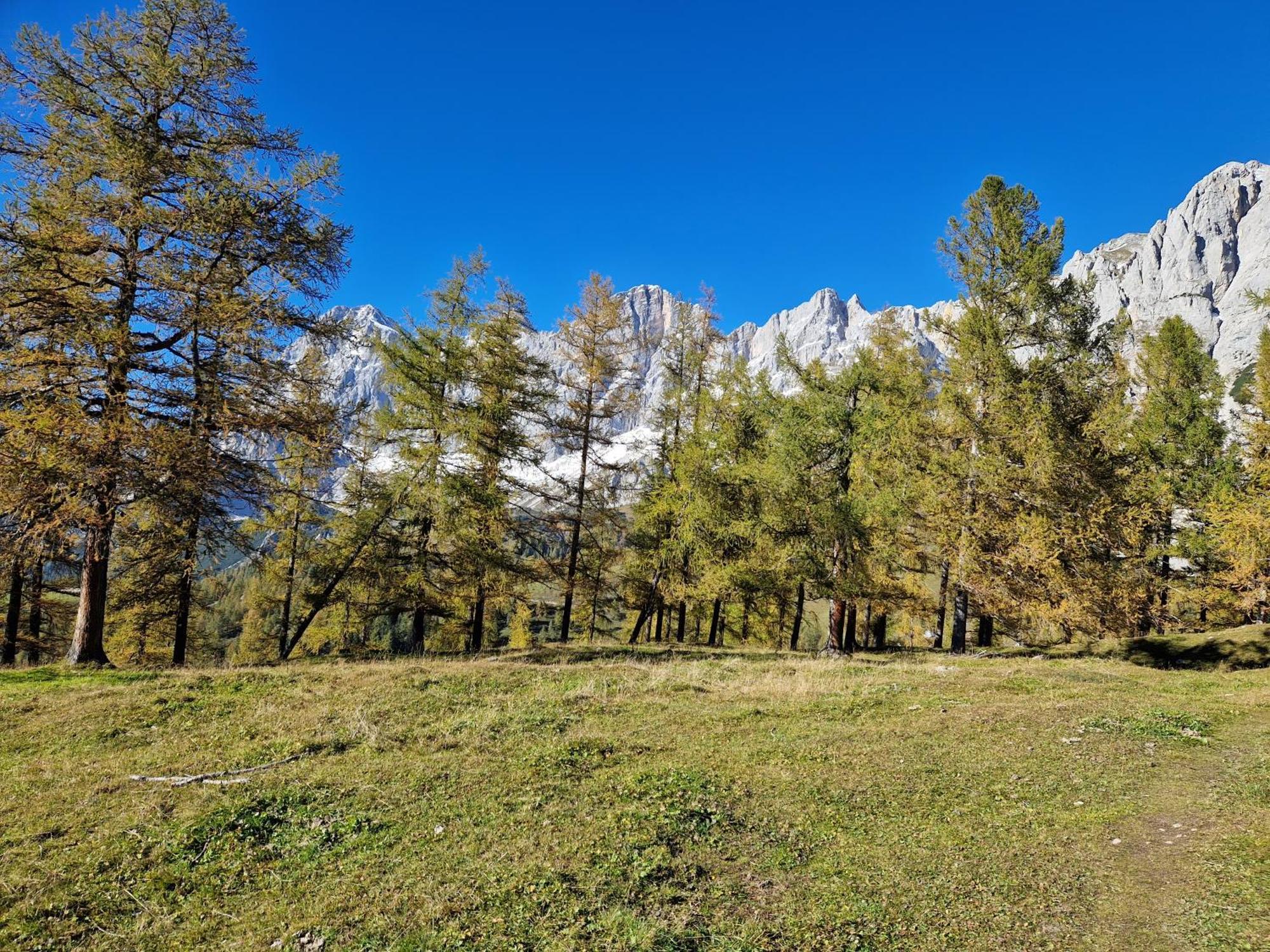Romantikapartment Mit Sommercard Ramsau am Dachstein Ngoại thất bức ảnh