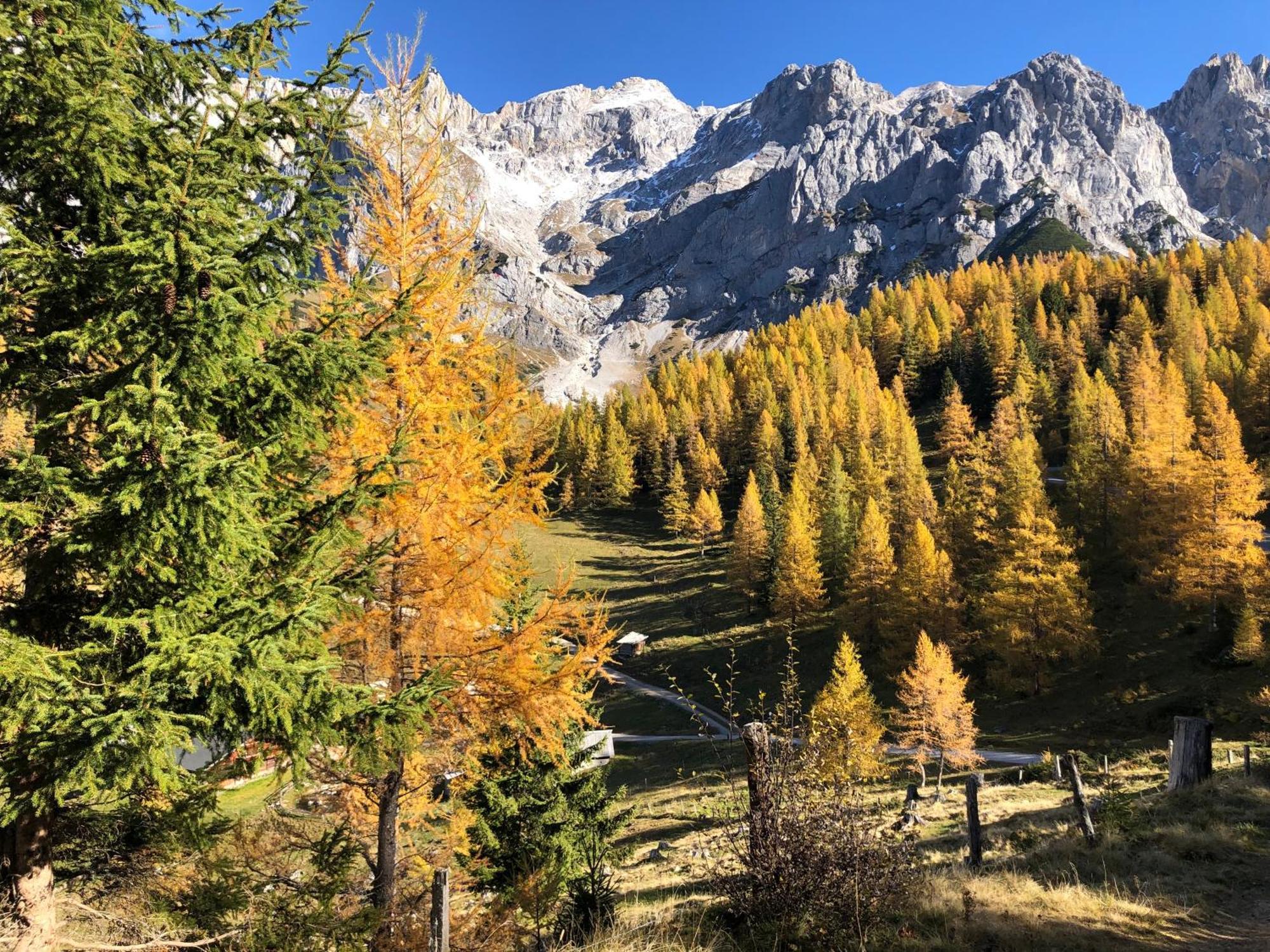 Romantikapartment Mit Sommercard Ramsau am Dachstein Ngoại thất bức ảnh