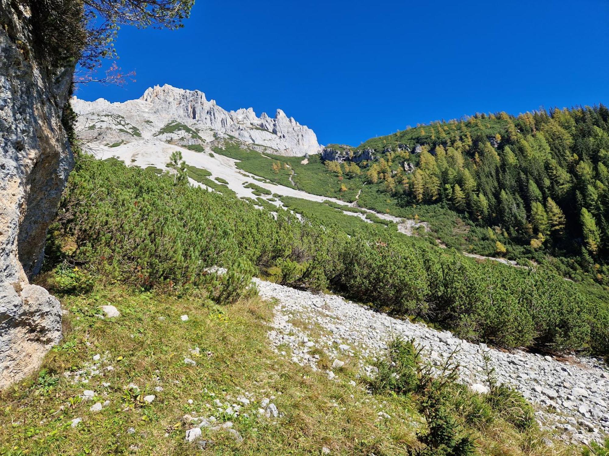 Romantikapartment Mit Sommercard Ramsau am Dachstein Ngoại thất bức ảnh