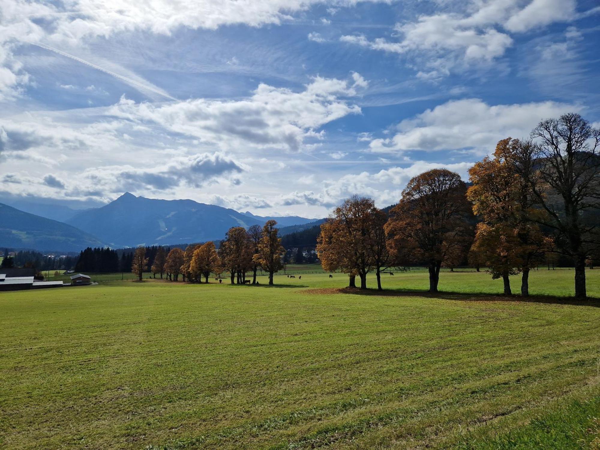 Romantikapartment Mit Sommercard Ramsau am Dachstein Ngoại thất bức ảnh
