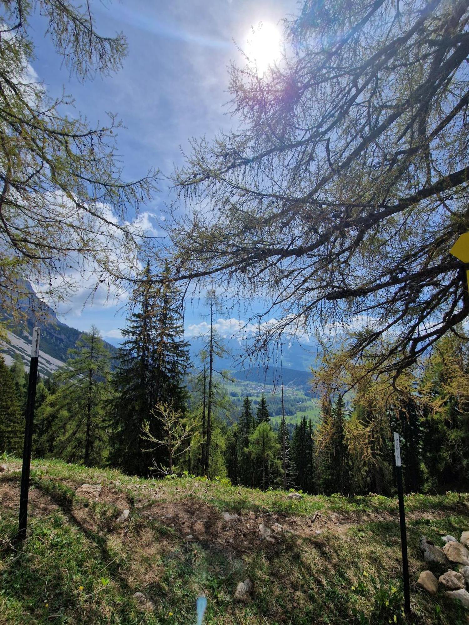 Romantikapartment Mit Sommercard Ramsau am Dachstein Ngoại thất bức ảnh