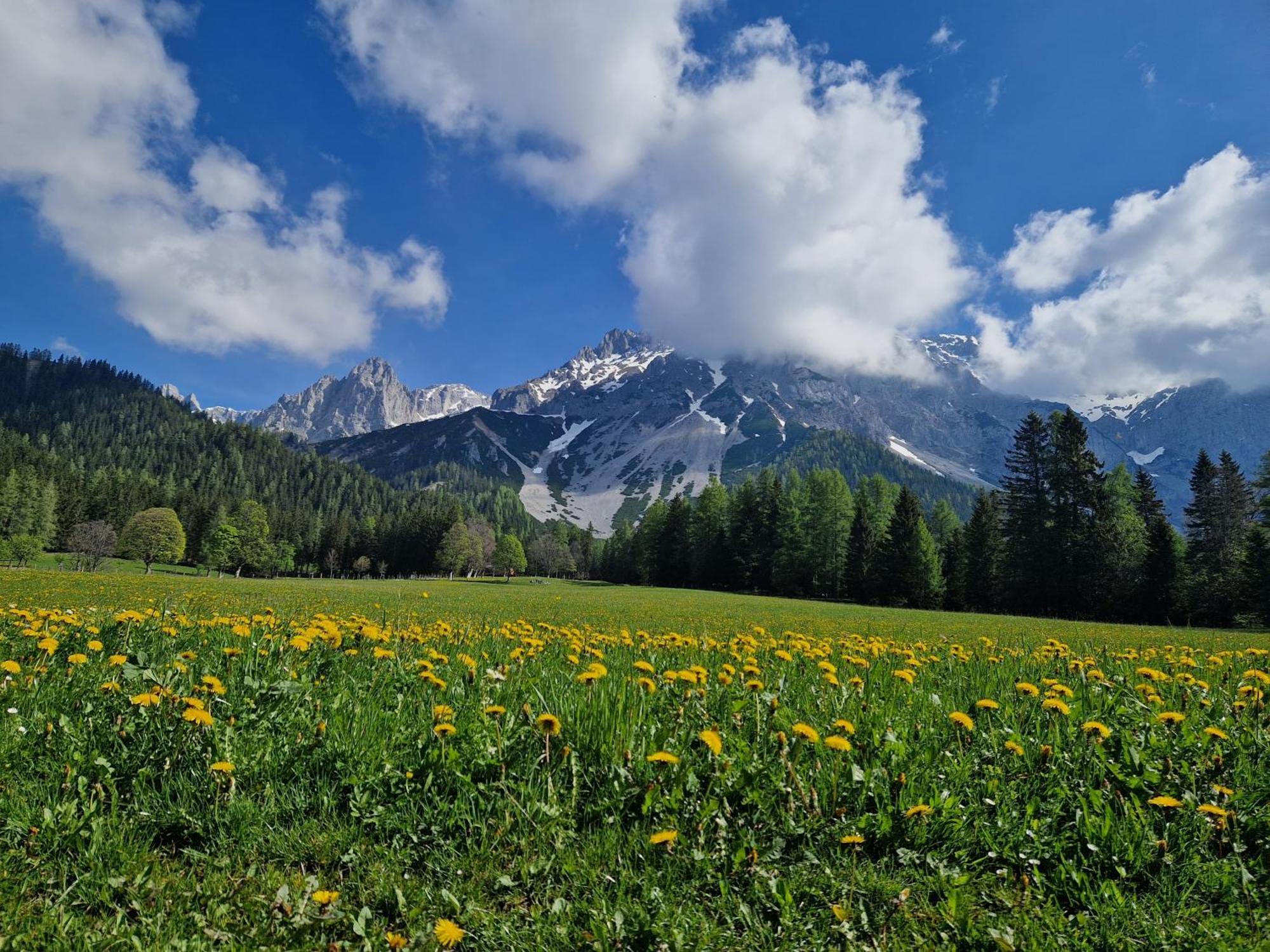 Romantikapartment Mit Sommercard Ramsau am Dachstein Ngoại thất bức ảnh