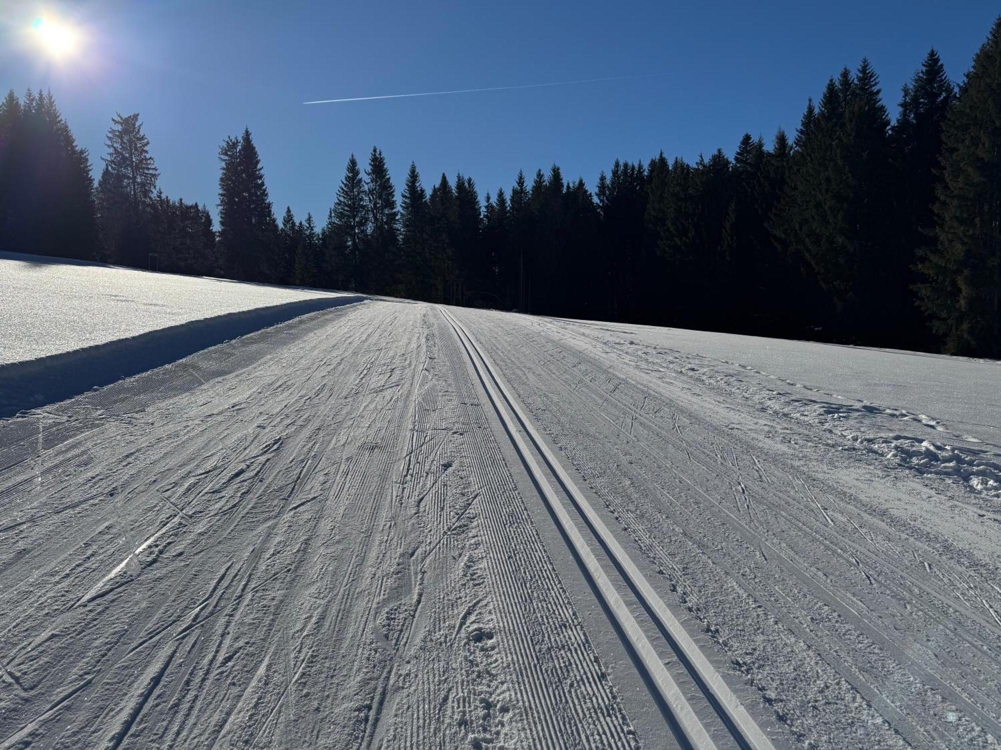 Romantikapartment Mit Sommercard Ramsau am Dachstein Ngoại thất bức ảnh