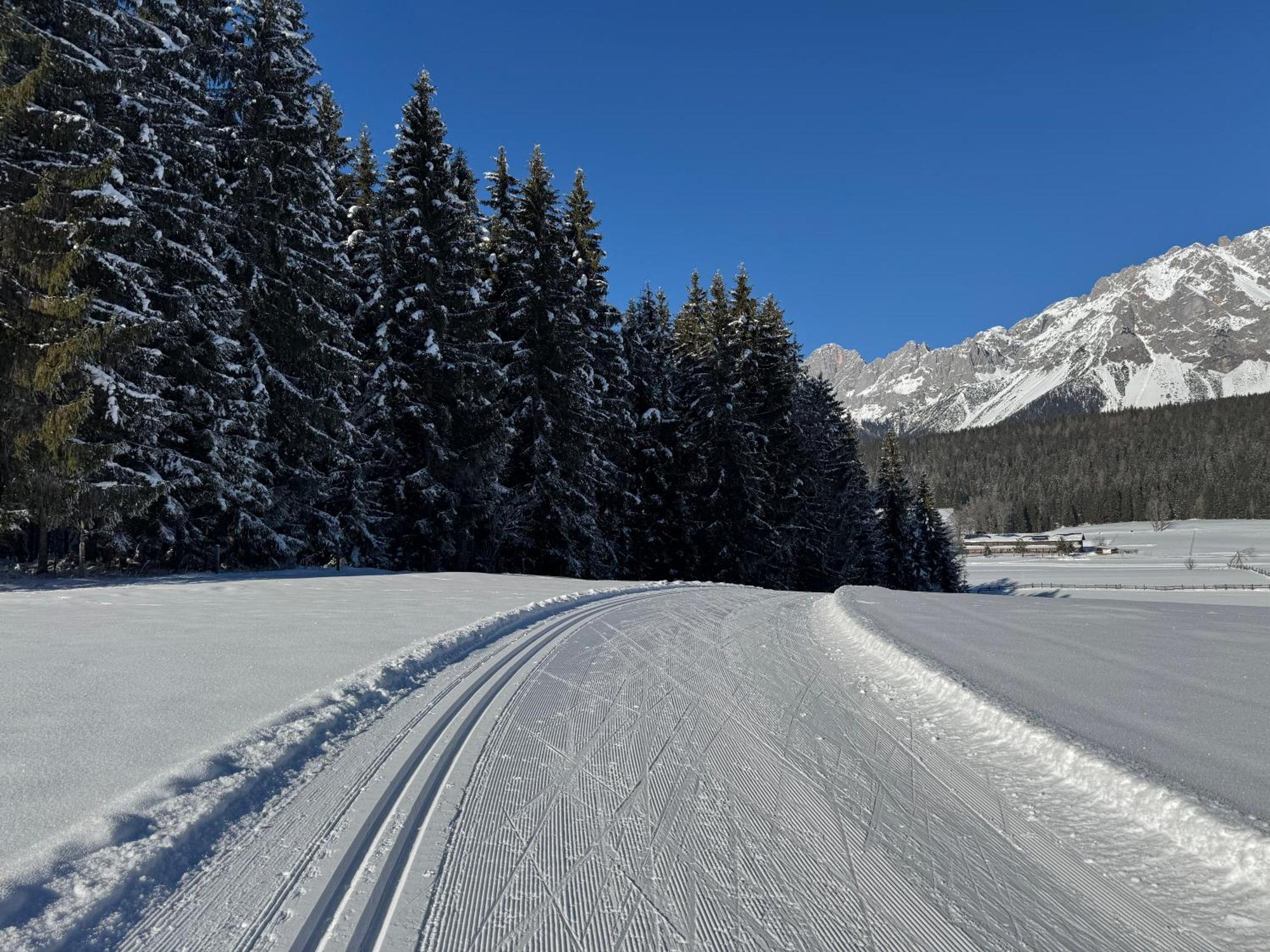 Romantikapartment Mit Sommercard Ramsau am Dachstein Ngoại thất bức ảnh