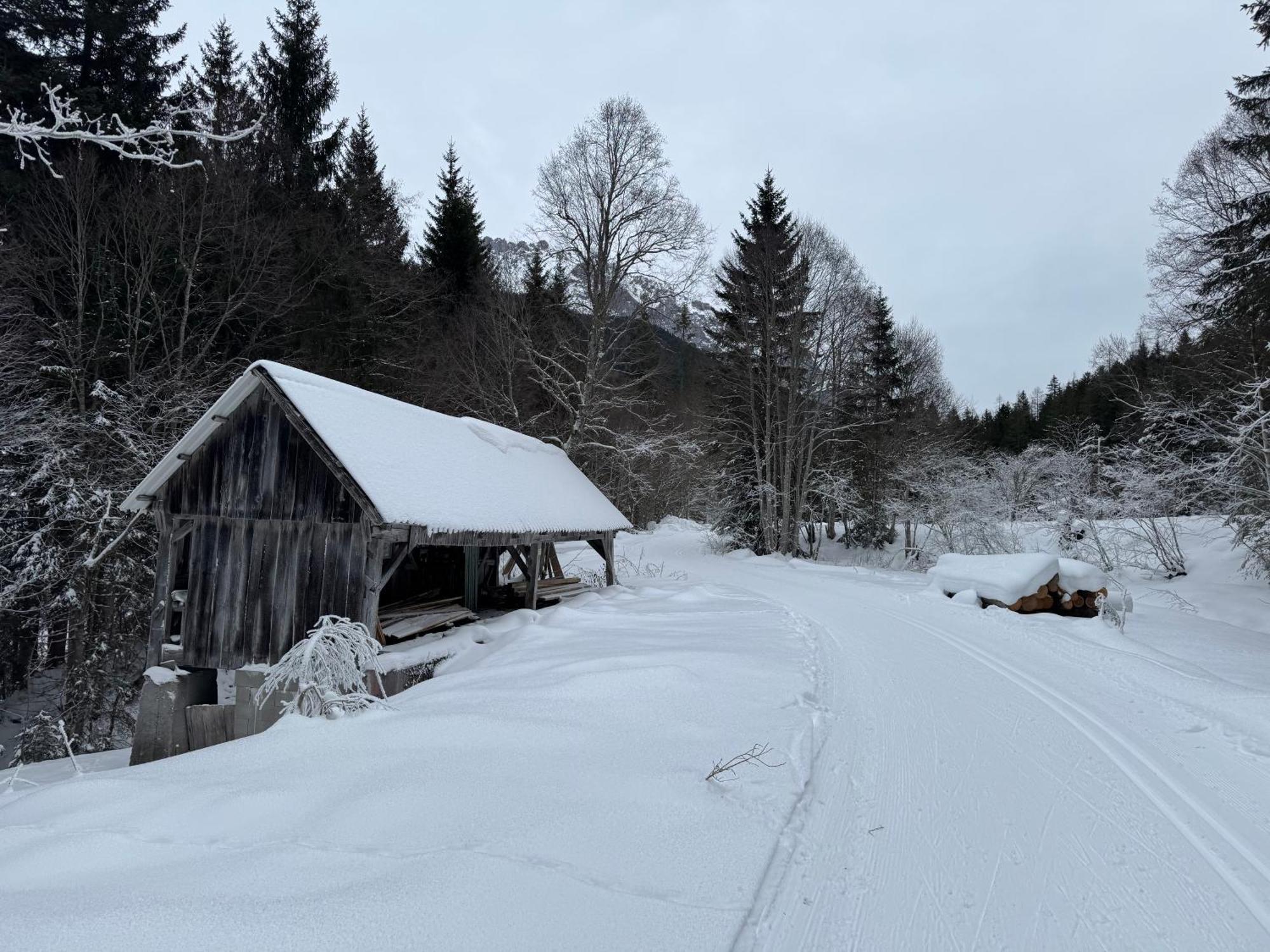 Romantikapartment Mit Sommercard Ramsau am Dachstein Ngoại thất bức ảnh